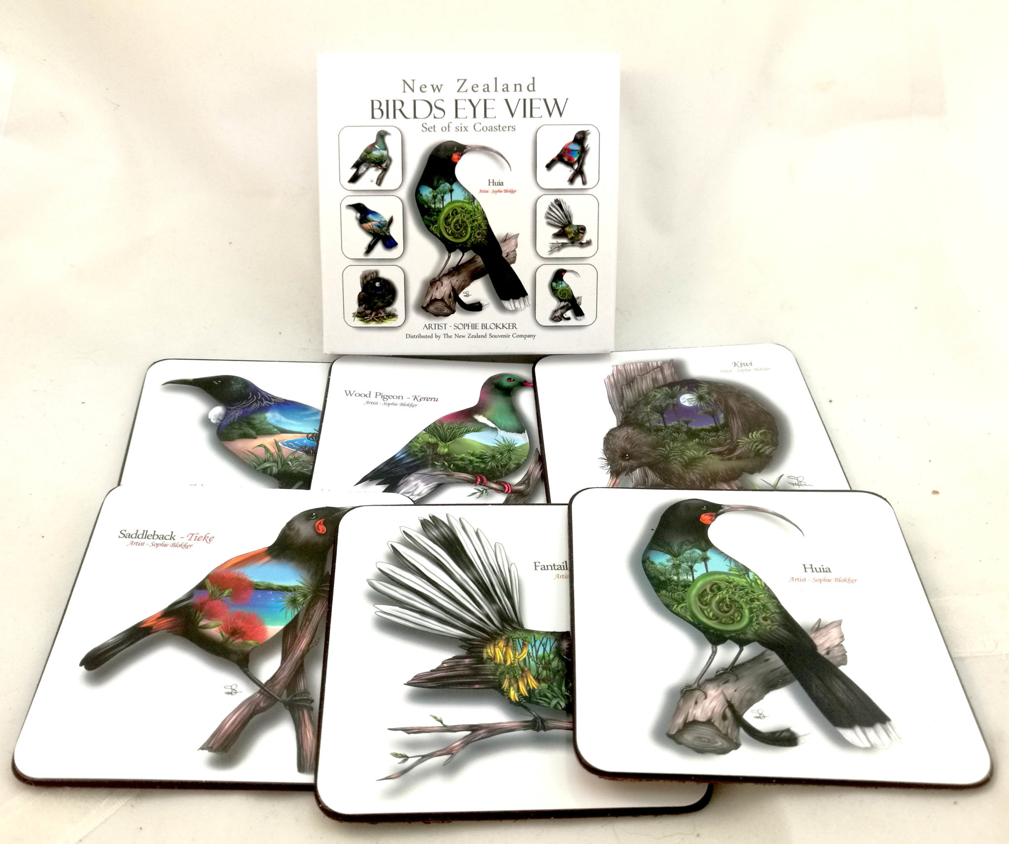 Nz birds eye view art coasters from sophie blokker blue penguin new